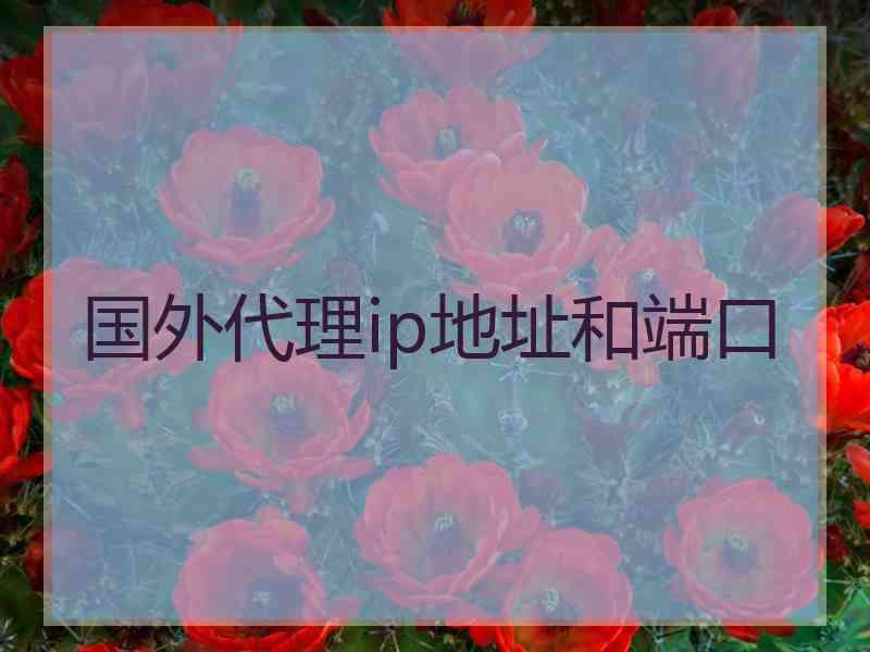国外代理ip地址和端口 国外代理ip地址和端口