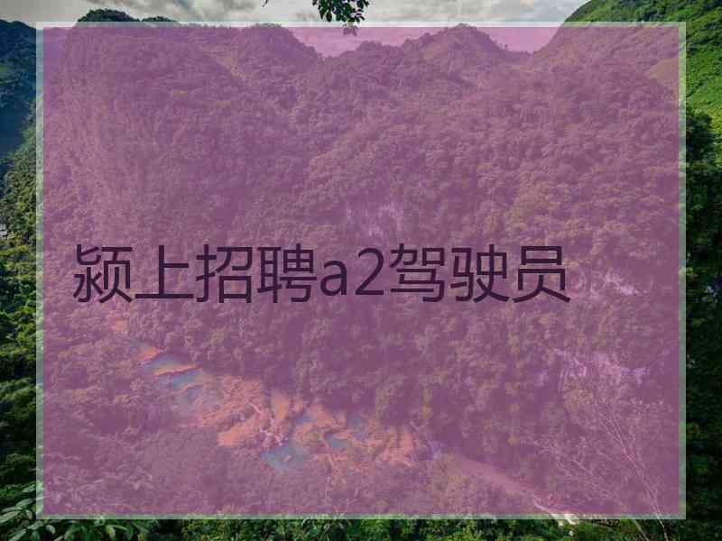 颍上招聘a2驾驶员 颍上招聘a2驾驶员