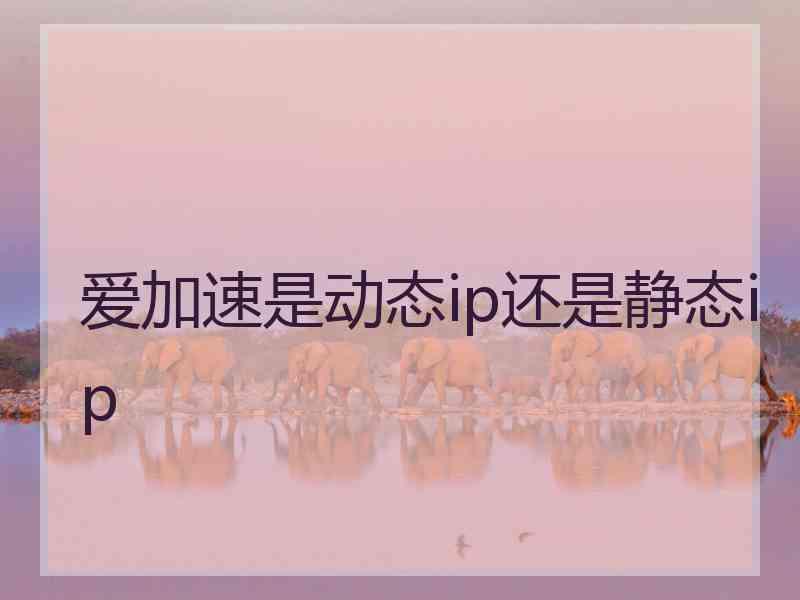 爱加速是动态ip还是静态ip 爱加速是动态ip还是静态ip