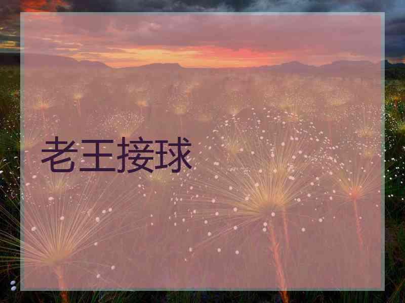 老王接球 老王接球