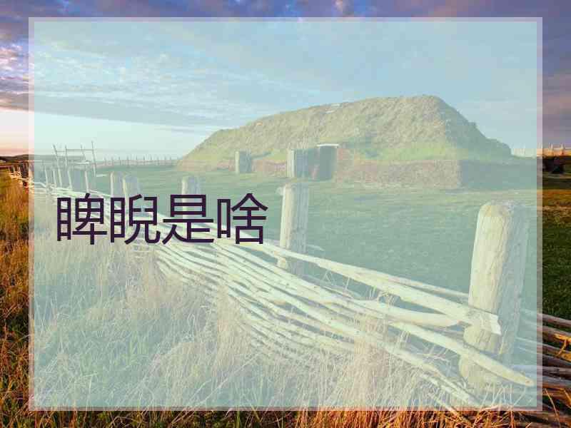 睥睨是啥 睥睨是啥