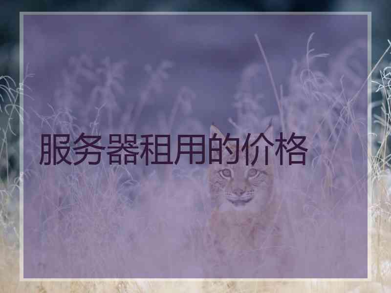 服务器租用的价格 服务器租用的价格