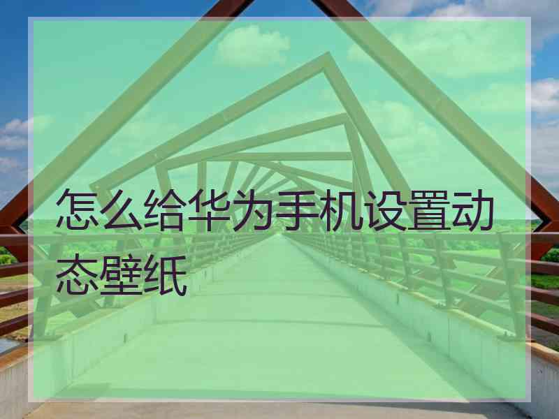 怎么给华为手机设置动态壁纸 怎么给华为手机设置动态壁纸