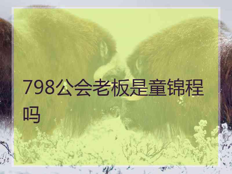 798公会老板是童锦程吗 798公会老板是童锦程吗