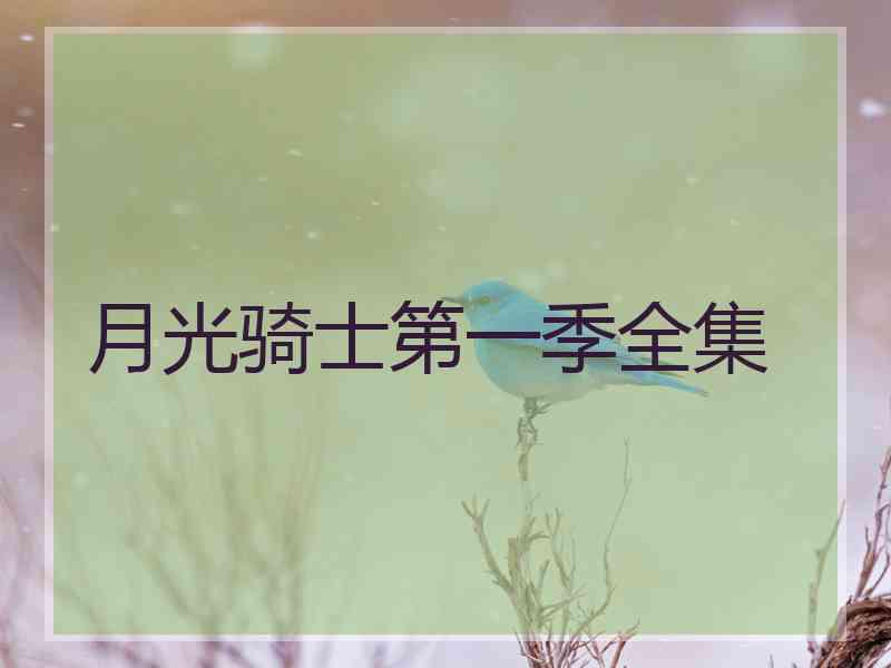 月光骑士第一季全集 月光骑士第一季全集