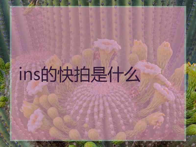ins的快拍是什么 ins的快拍是什么