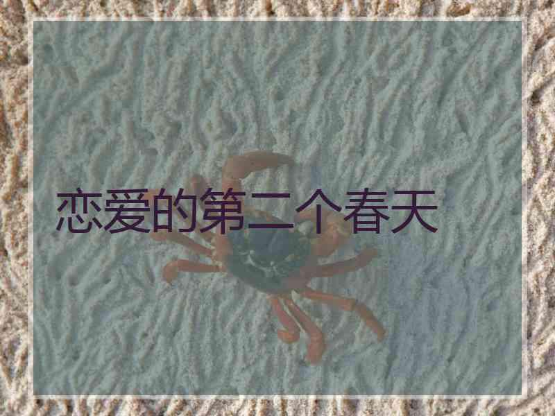 恋爱的第二个春天 恋爱的第二个春天