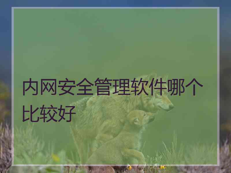 内网安全管理软件哪个比较好 内网安全管理软件哪个比较好