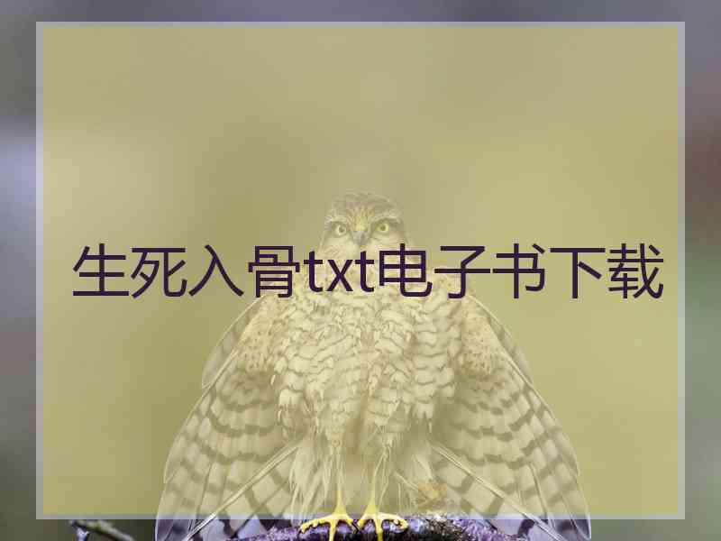 生死入骨txt电子书下载 生死入骨txt电子书下载
