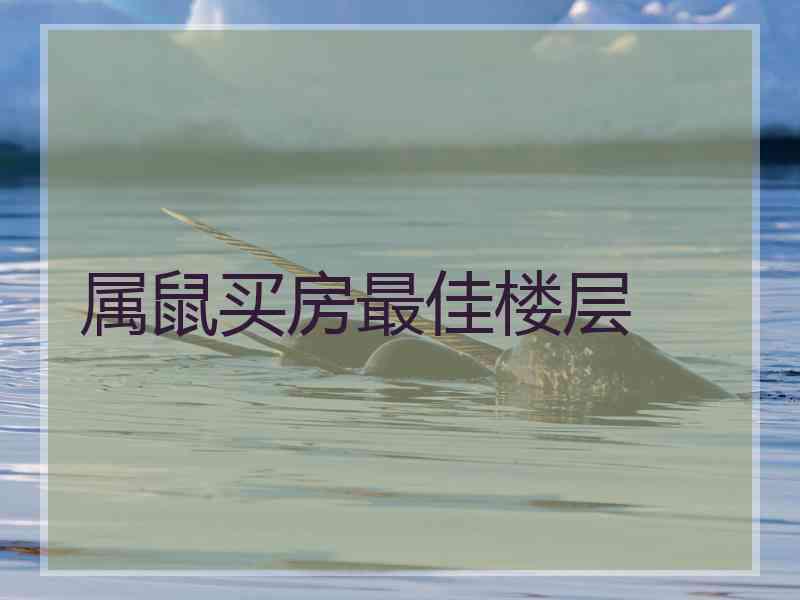 属鼠买房最佳楼层 属鼠买房最佳楼层