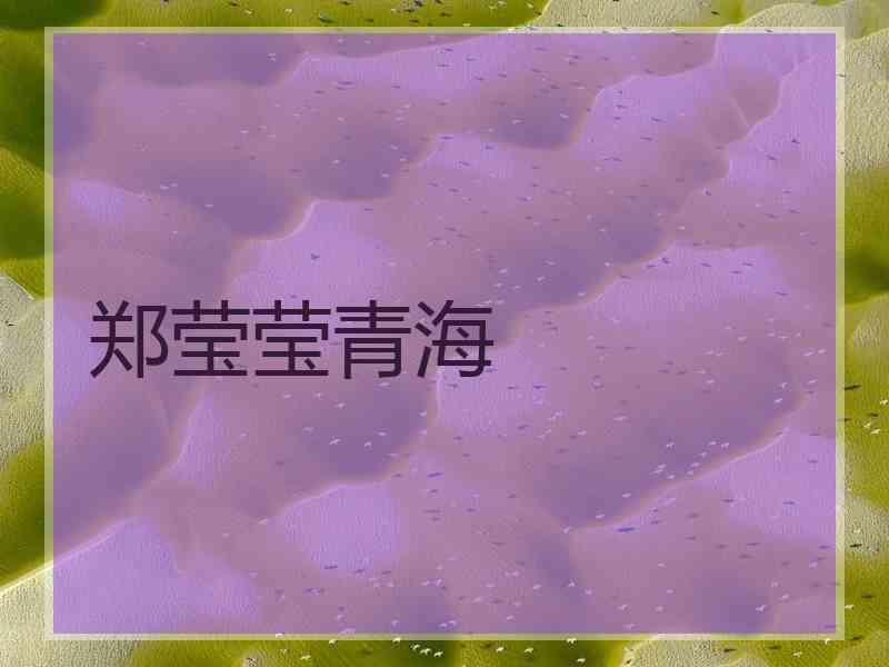 郑莹莹青海 郑莹莹青海