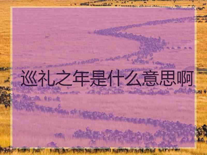 巡礼之年是什么意思啊 巡礼之年是什么意思啊