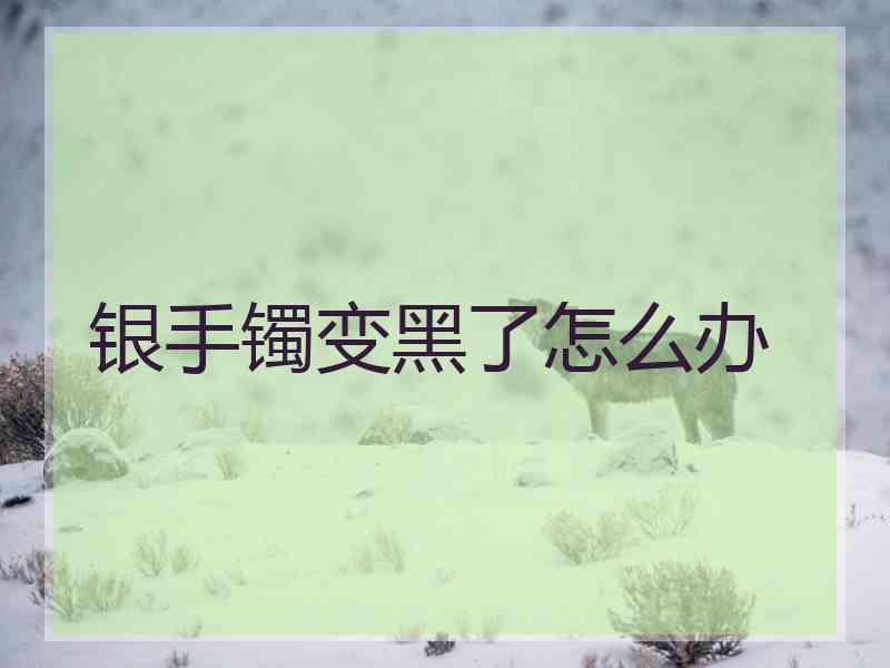银手镯变黑了怎么办 银手镯变黑了怎么办