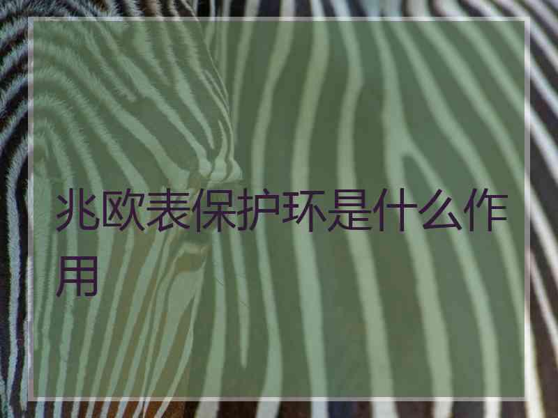 兆欧表保护环是什么作用 兆欧表保护环是什么作用