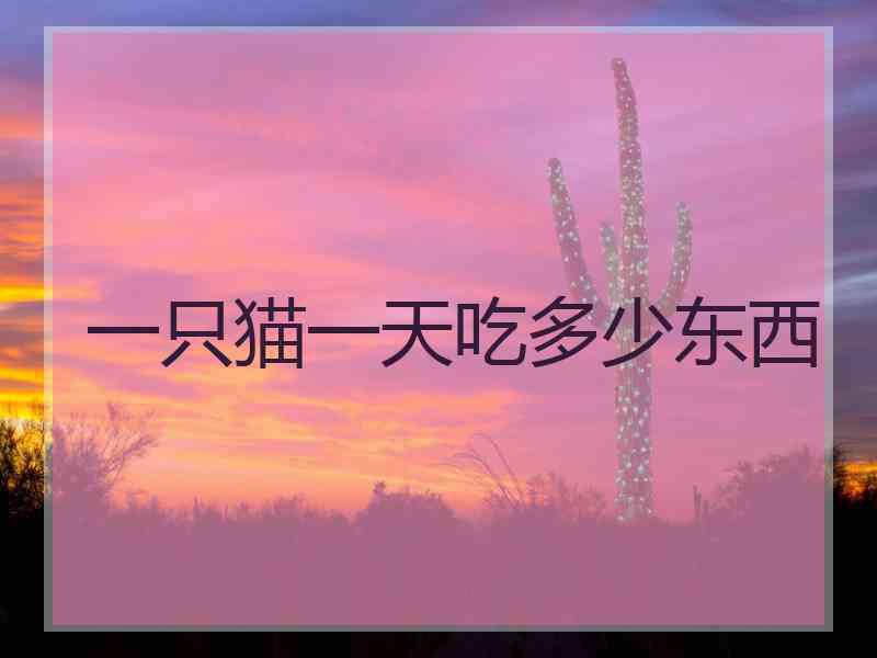 一只猫一天吃多少东西 一只猫一天吃多少东西