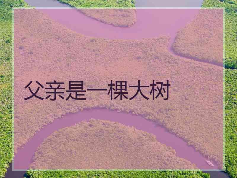 父亲是一棵大树 父亲是一棵大树