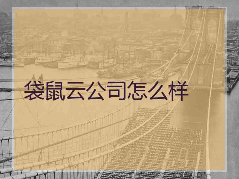 袋鼠云公司怎么样 袋鼠云公司怎么样