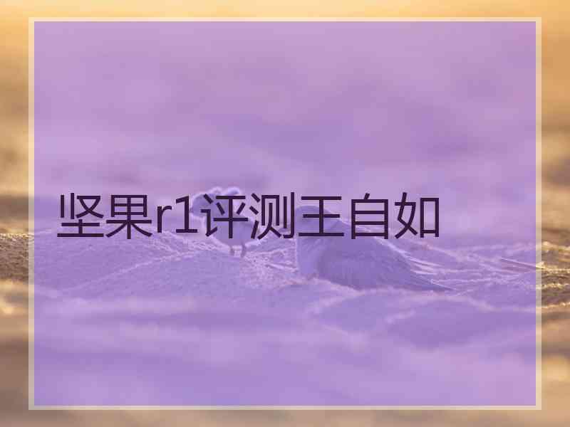 坚果r1评测王自如 坚果r1评测王自如