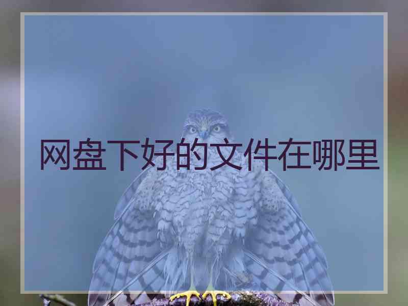 网盘下好的文件在哪里 网盘下好的文件在哪里