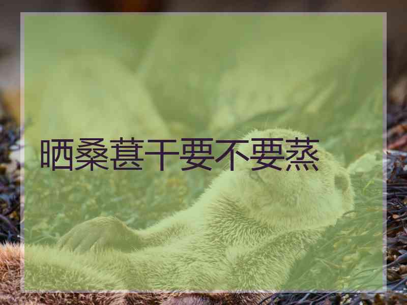 晒桑葚干要不要蒸 晒桑葚干要不要蒸