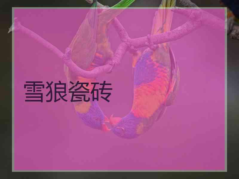 雪狼瓷砖 雪狼瓷砖