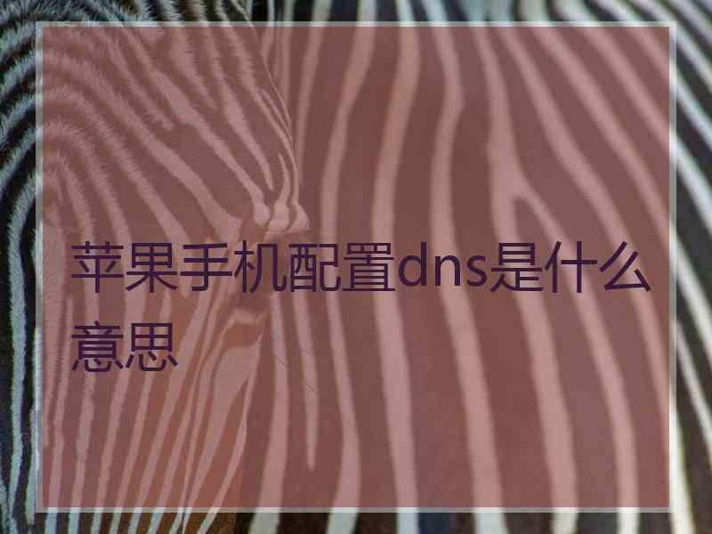 苹果手机配置dns是什么意思 苹果手机配置dns是什么意思