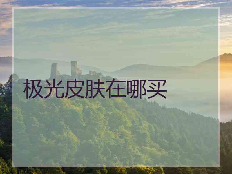 极光皮肤在哪买 极光皮肤在哪买