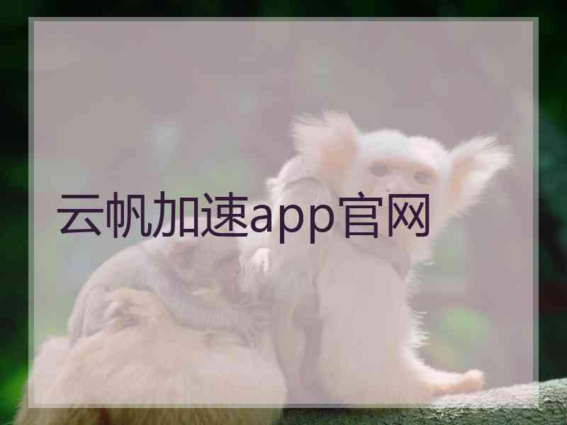 云帆加速app官网 云帆加速app官网