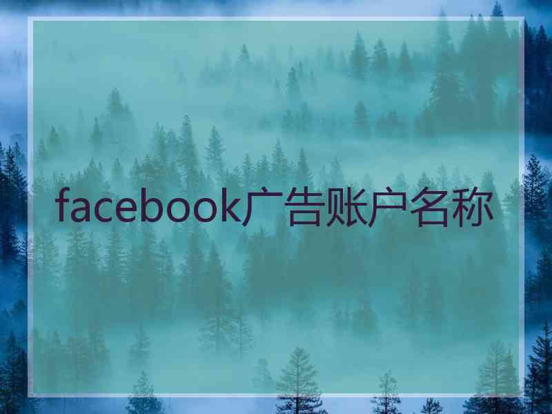 facebook广告账户名称 facebook广告账户名称