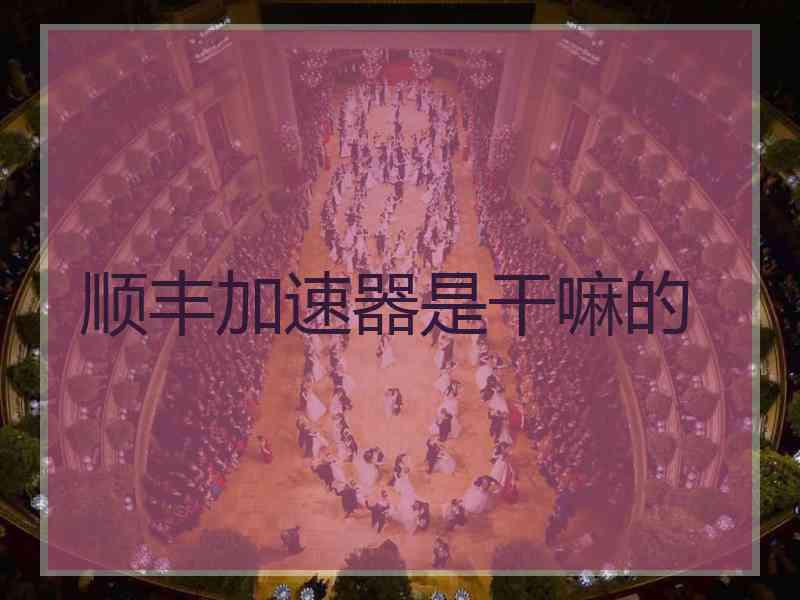 顺丰加速器是干嘛的 顺丰加速器是干嘛的