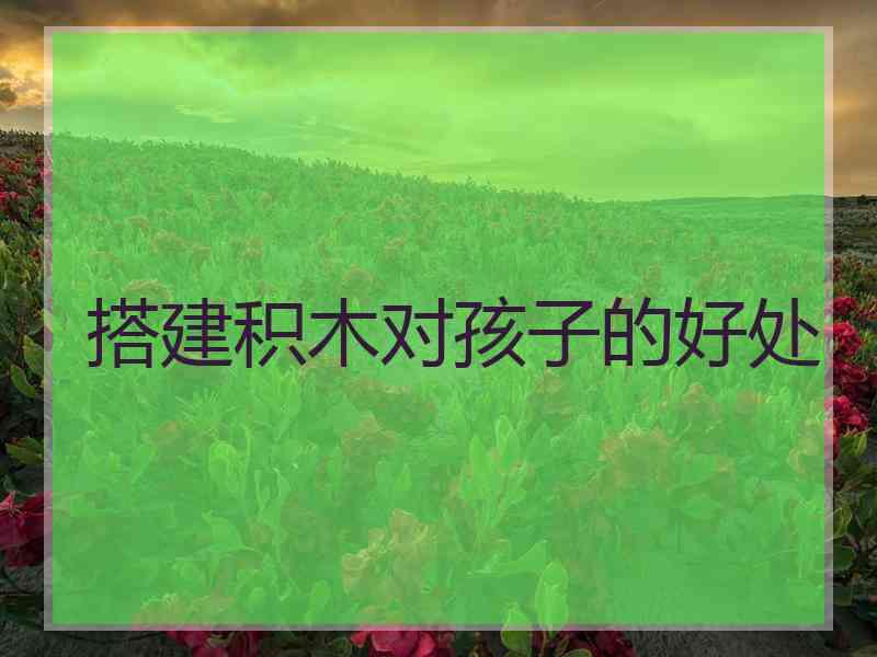 搭建积木对孩子的好处 搭建积木对孩子的好处