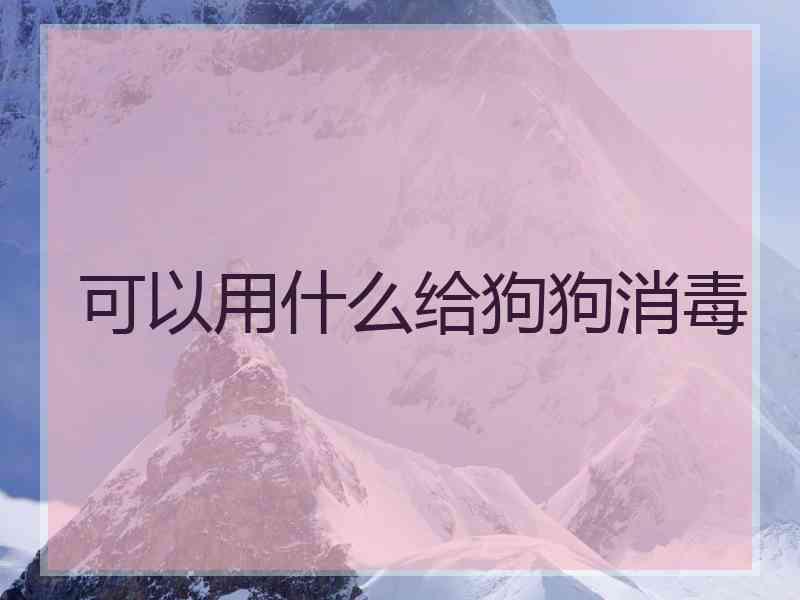 可以用什么给狗狗消毒 可以用什么给狗狗消毒