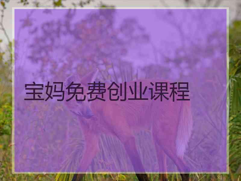 宝妈免费创业课程 宝妈免费创业课程