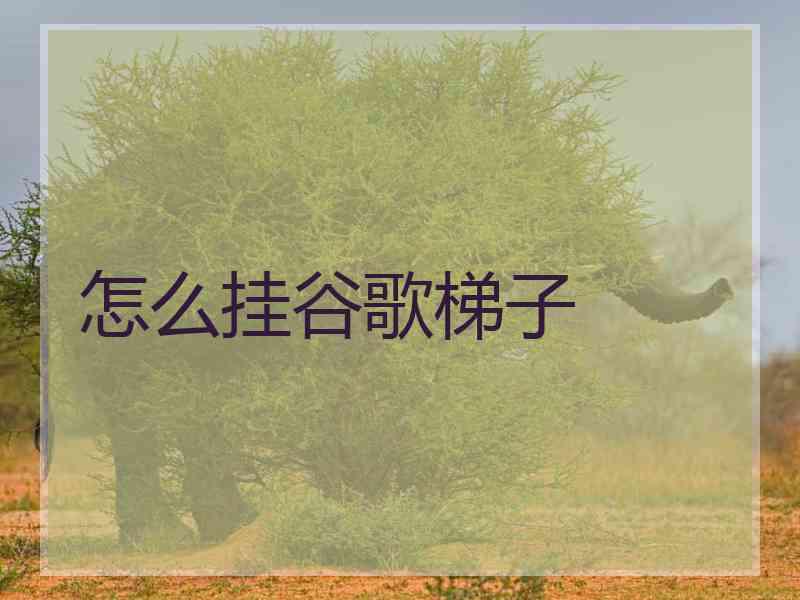 怎么挂谷歌梯子 怎么挂谷歌梯子