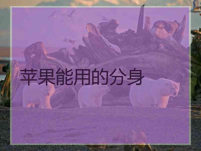 苹果能用的分身 苹果能用的分身