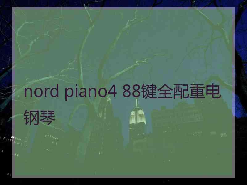 nord piano4 88键全配重电钢琴 nord piano4 88键全配重电钢琴
