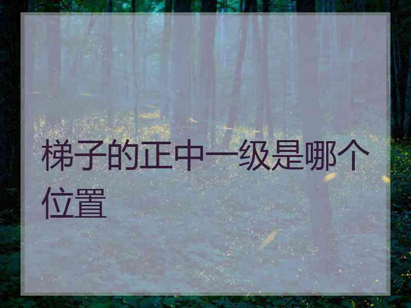 梯子的正中一级是哪个位置 梯子的正中一级是哪个位置