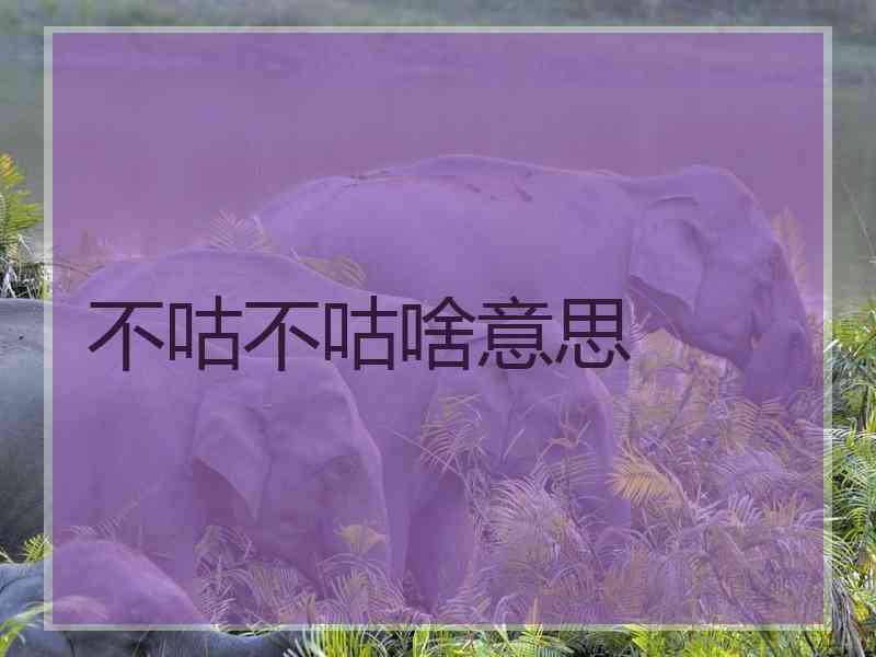 不咕不咕啥意思 不咕不咕啥意思
