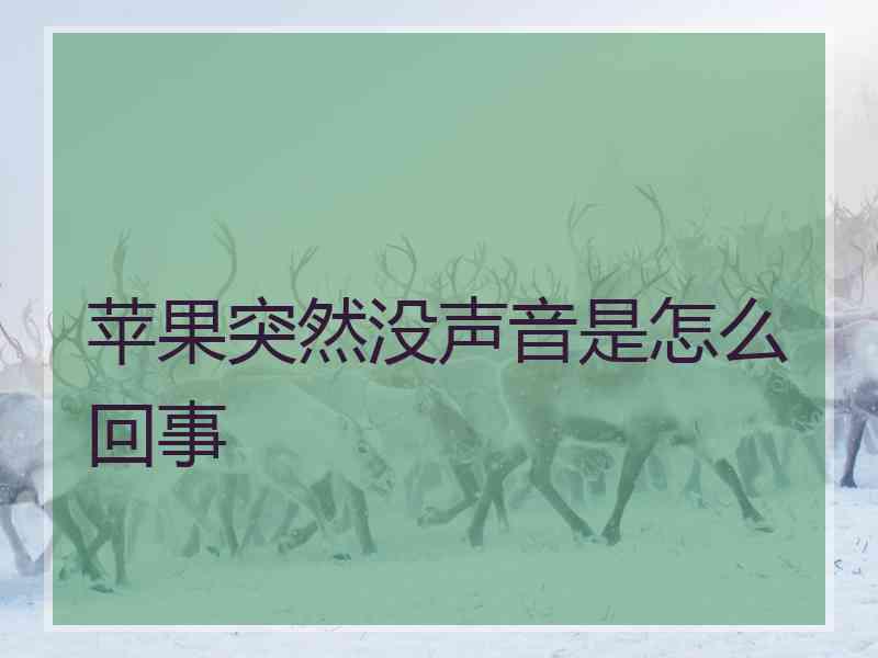 苹果突然没声音是怎么回事 苹果突然没声音是怎么回事