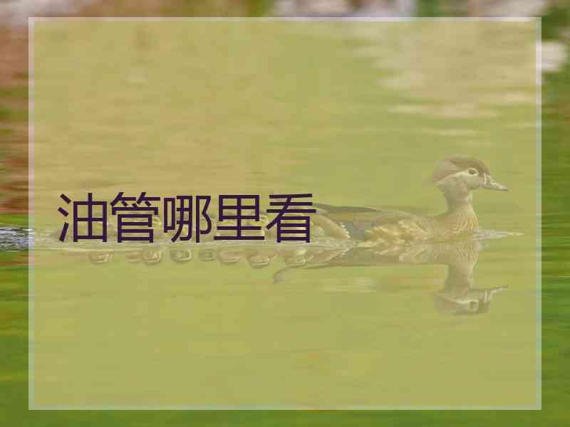 油管哪里看 油管哪里看