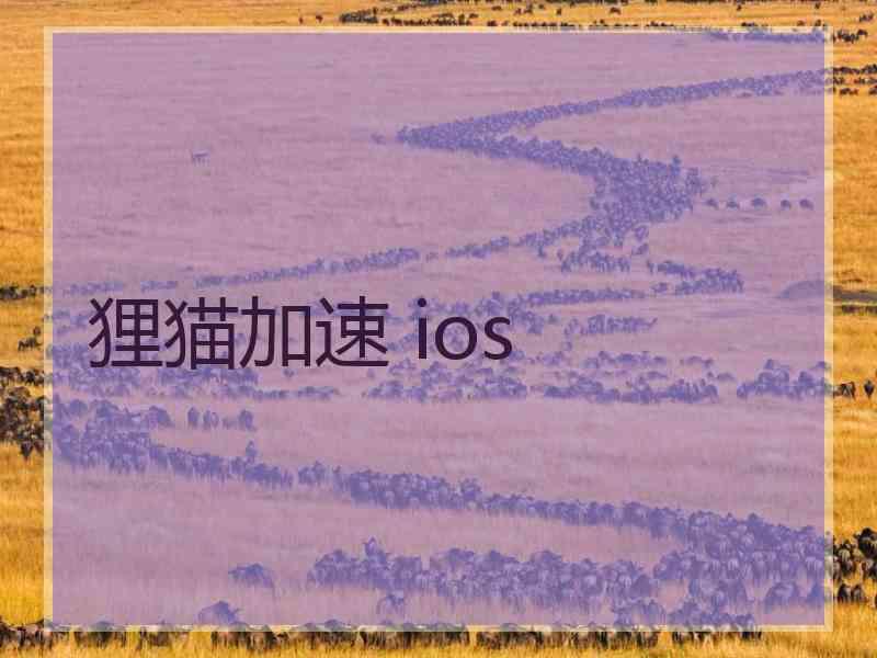 狸猫加速 ios 狸猫加速 ios