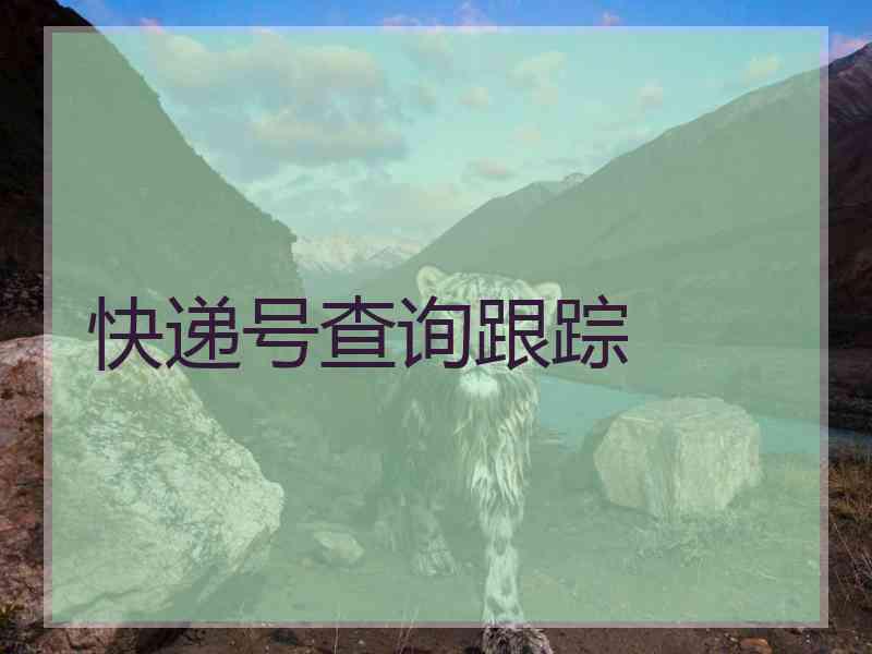 快递号查询跟踪 快递号查询跟踪