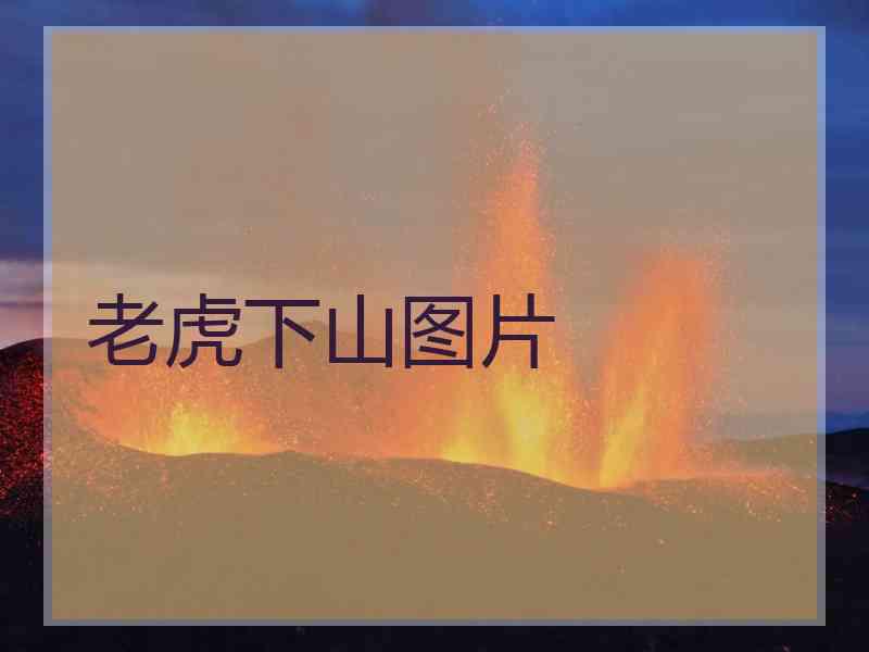 老虎下山图片 老虎下山图片