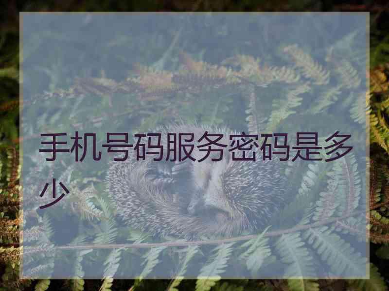 手机号码服务密码是多少 手机号码服务密码是多少