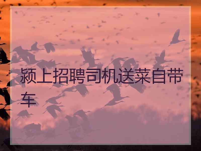 颍上招聘司机送菜自带车 颍上招聘司机送菜自带车
