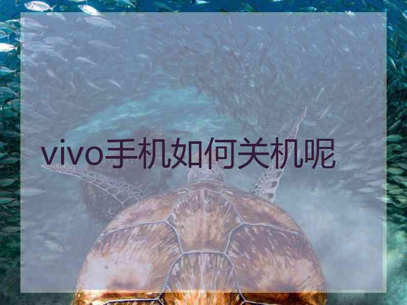 vivo手机如何关机呢 vivo手机如何关机呢