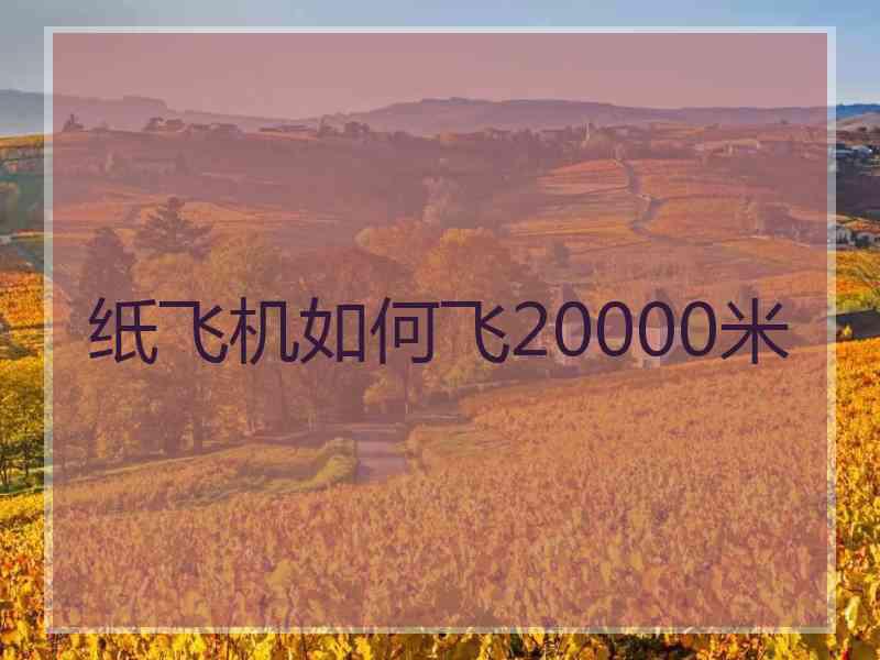 纸飞机如何飞20000米 纸飞机如何飞20000米