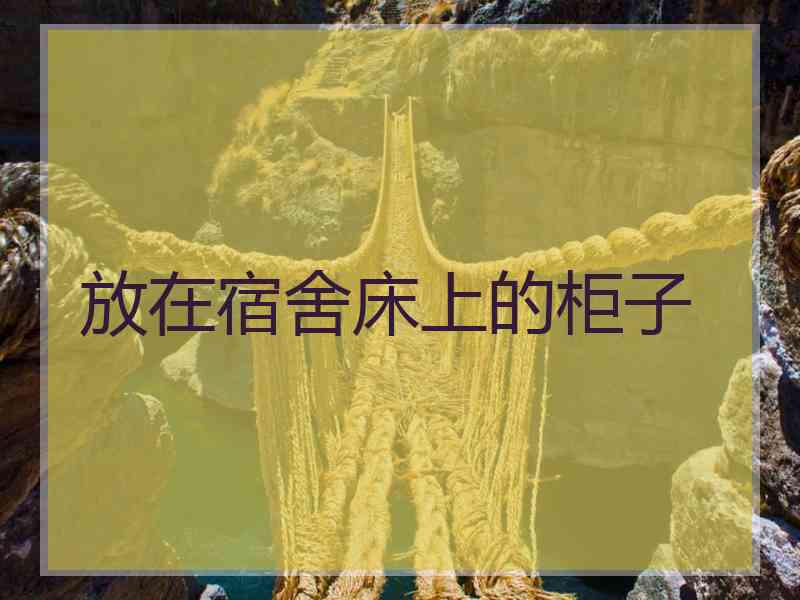 放在宿舍床上的柜子 放在宿舍床上的柜子