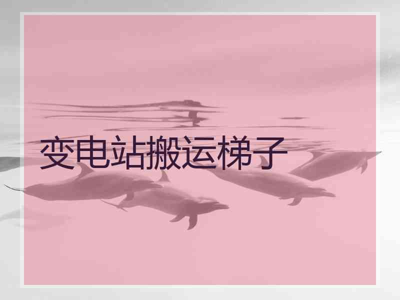 变电站搬运梯子 变电站搬运梯子