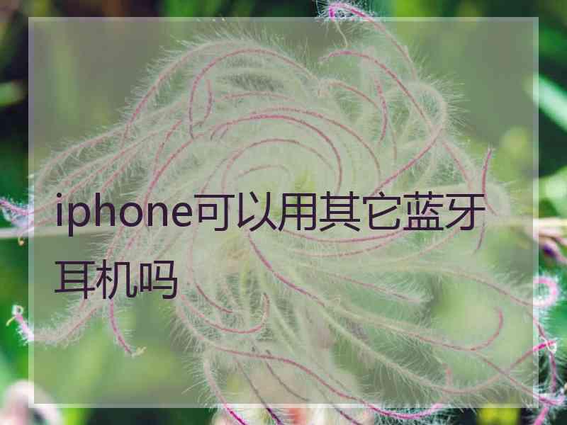 iphone可以用其它蓝牙耳机吗 iphone可以用其它蓝牙耳机吗